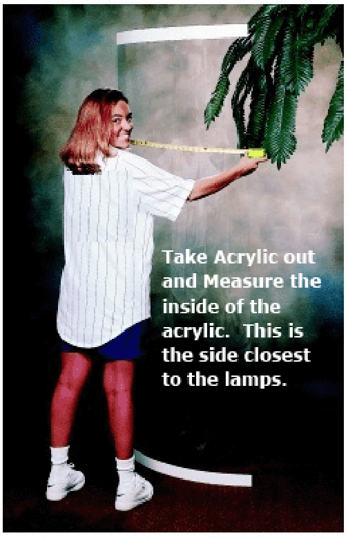 Sonnenbraune 833 Bench (1994) - Image 4