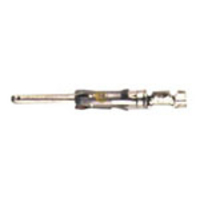 amp-male-pin