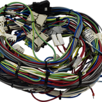 Ergoline Timer