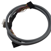 Ergoline Timer