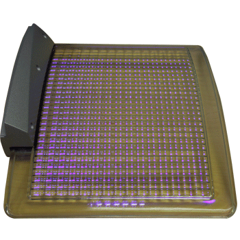 Ergoline Timer